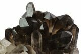 Dark Smoky Quartz Crystal Cluster - Brazil #84850-2